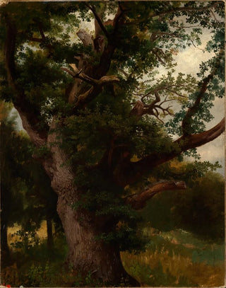 Johann Wilhelm Schirmer - Eichbaum.webp