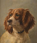 van een bruin-wit spaniel schilderij - Johannes Christian Deiker — weergave van het kunstwerk
