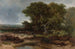 La Lande près de Wolfheze - Johannes Wernardus Bilders — weergave van het kunstwerk