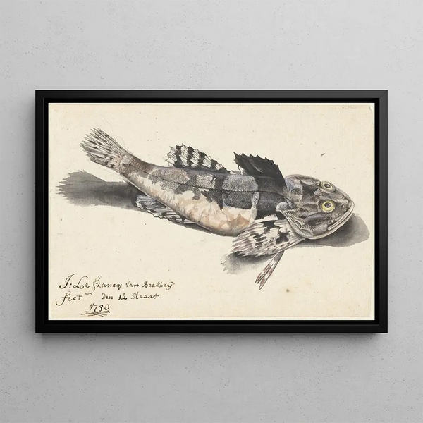 Johannes le Francq van Berkhey - Zeedonderpad.webp
