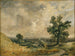 Landschap Engels - John Constable — weergave van het kunstwerk
