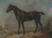 Het zwarte paard van Constable - John Constable — weergave van het kunstwerk