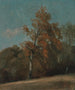 Study of a Ash Tree - John Constable — artwork view