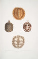 2 Tortue épineuse Emys spinos 3 4 Tortue boîte d'Amborna Cistuda amboinensis - John Edward Gray — weergave van het kunstwerk