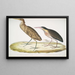 van de Heron kaneel Ardea cinnamonea 1 Heron met gele hals Ardea flavicollis - John Edward Gray — ingelijst kunstwerk aan de muur