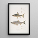 Carpe de Hamilton Cyprinus Bangana Hamiltonii Taille naturelle 2 Carpe Goha Cyprinus Leuciscus Goha - John Edward Gray — ingelijst kunstwerk aan de muur