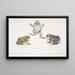 Crapaud à nez caréné Bufo carinatus 2 2a Crapaud douteux Bufo dubius Bengale - John Edward Gray — ingelijst kunstwerk aan de muur