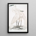 Héron blanc pur Ardea modesta 2 Héron à bec noir Ardea nigrirostris - John Edward Gray — ingelijst kunstwerk aan de muur