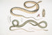 Serpent à ventre tacheté Coluber ventromaculatis 2 Serpent d'arbre de Bell Ahtula Bellii - John Edward Gray — weergave van het kunstwerk