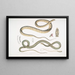Serpent à ventre tacheté Coluber ventromaculatis 2 Serpent d'arbre de Bell Ahtula Bellii - John Edward Gray — ingelijst kunstwerk aan de muur