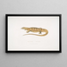 Varan geel (Monitor flavescens) - John Edward Gray — ingelijst kunstwerk aan de muur