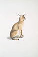 Chat allié Felis affinis - John Edward Gray — weergave van het kunstwerk