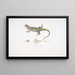Uromastix de Bell (Uromastix Bellii) van Penang - John Edward Gray — ingelijst kunstwerk aan de muur