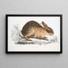 Chinese haas Lepus Sinensis - John Edward Gray — ingelijst kunstwerk aan de muur