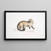Crosss Paradoxurus Paradoxurus Crossii - John Edward Gray — ingelijst kunstwerk aan de muur