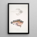 Poisson-cochon déformé Synanaceia grossa Singapore - John Edward Gray — ingelijst kunstwerk aan de muur