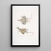 Lézard dragon à cinq bandes Draco quinquefasciata - John Edward Gray — ingelijst kunstwerk aan de muur