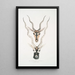 Antilope indienne Antilopa cervicapra tête et corne 1 jeune 2 adulte - John Edward Gray — ingelijst kunstwerk aan de muur