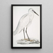 Héron blanc indien Ardea orientalis - John Edward Gray — ingelijst kunstwerk aan de muur