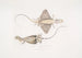 Draken met korte snuit Draco abbreviata uit Singapore - John Edward Gray — weergave van het kunstwerk