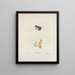 Hyla se cache - John Edwards Holbrook — framed artwork on a wall