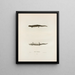 Triton porphyriticus - John Edwards Holbrook — framed artwork on a wall