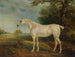 De grijze paard gegeten door de vlooien van de markies van Huntly - John Ferneley — weergave van het kunstwerk