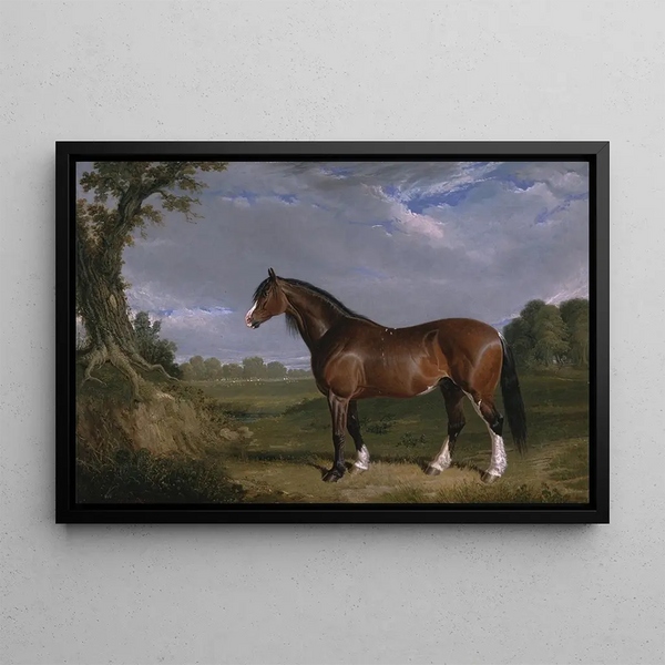 John Frederick Herring Snr - A Clydesdale Stallion.webp
