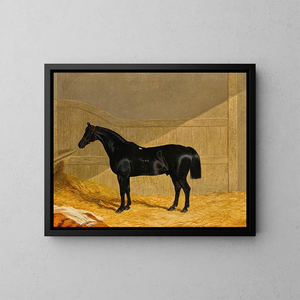 Paard zwart in een stallen - John Frederick Herring de Oudere — ingelijst kunstwerk aan de muur