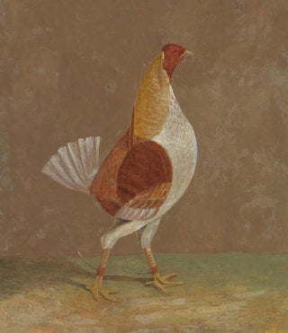 John Frederick Herring Snr - Fighting Cocks a PaleBreasted Fighting Cock Facing Rght.webp
