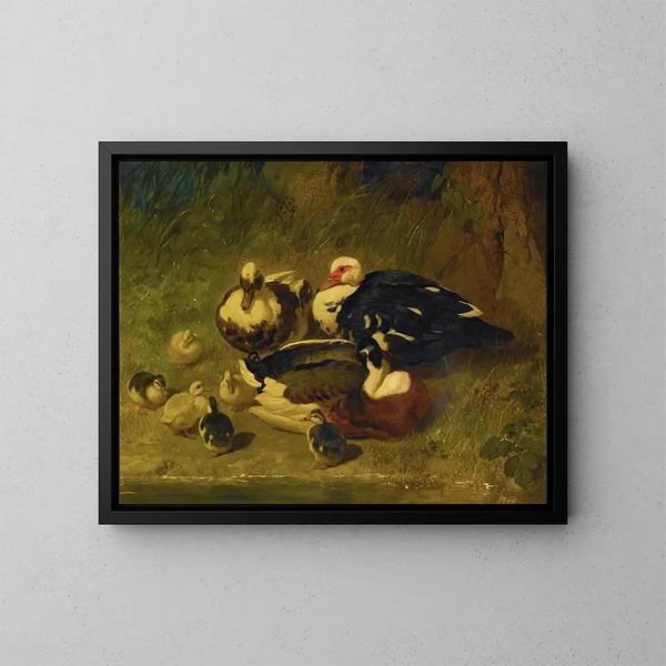 Eenden van Muscovy en eendjes - John Frederick Herring de Oudere — ingelijst kunstwerk aan de muur