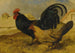De boeren van de binnenplaats - John Frederick Herring de Oude — weergave van het kunstwerk