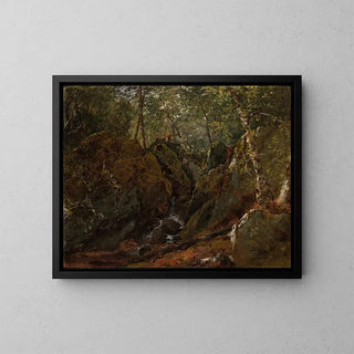 Waterval van de Catskills - John Frederick Kensett — ingelijst kunstwerk aan de muur