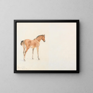 John Frederick Tayler - Fannys Colt July 26 1886.webp