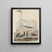 Heron van Louisiana Oesterjager, Kraai, Ooievaar, Cirkel en Kluut met lange snavel - John G. Warnicke — ingelijst kunstwerk aan de muur