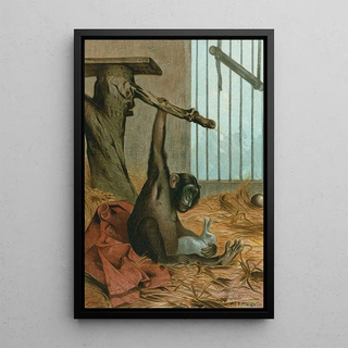 John George Wood - Chimpanzee.webp