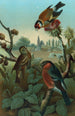 Groep van vinkjes - John George Wood — weergave van het kunstwerk