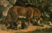 Luipaard - John George Wood — weergave van het kunstwerk