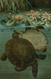 Zachot mollen - John George Wood — weergave van het kunstwerk