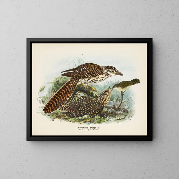 De jonge gevoed door de grijze merel - John Gerrard Keulemans — ingelijst kunstwerk aan de muur