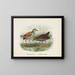 Ortygometra affinis en Ortygometra tabuensis - John Gerrard Keulemans — ingelijst kunstwerk aan de muur