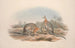 Een monografie van de Macropodidae of familie van de kangoeroes Pl08 - John Gould — weergave van het kunstwerk