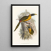 Une monographie des Ramphastidae ou famille des toucans Pl28 - John Gould — ingelijst kunstwerk aan de muur