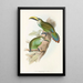 Une monographie des Ramphastidae ou familie des toucans Pl29 - John Gould — ingelijst kunstwerk aan de muur