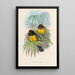 Une monographie des Trogonidae ou familie des trogons Pl06 - John Gould — ingelijst kunstwerk aan de muur
