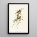 Carpodacus erythrinus - John Gould — ingelijst kunstwerk aan de muur