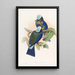 Rollier de Temminck - John Gould — ingelijst kunstwerk aan de muur