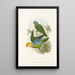 De vogels van Nieuw-Guinea en de aangrenzende Papoea-eilanden Pl28 - John Gould — ingelijst kunstwerk aan de muur