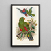 De vogels van Nieuw-Guinea en de aangrenzende Papoea-eilanden Pl31 - John Gould — ingelijst kunstwerk aan de muur