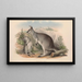 De zoogdieren van Australië Pl049 - John Gould — ingelijst kunstwerk aan de muur